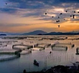 河池伴游中国网景点丰富(旅游网介绍)