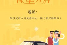 河池日照伴游司机雇用网(日照伴游司机雇用收集)