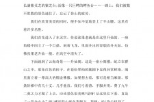 河池旅游感想(张家界旅游感想)