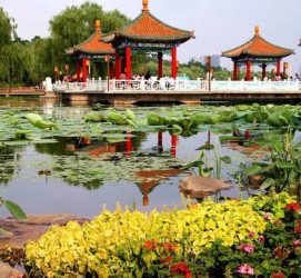 河池长春旅游攻略(长春旅游攻略必去景点地图)