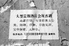 河池珠海伴游雇用网(珠海游览社雇用信息)