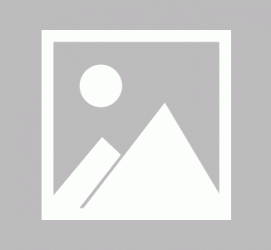 河池私人伴游招聘 大型商务会馆