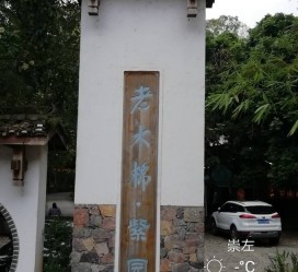 河池关于伴游中国伴游你们伴得是什么游的信息