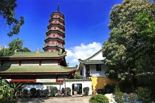 河池广州自由行(广州 自由行)