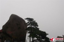 河池上海伴游私家陪游雇用女模(上海伴游私家陪游雇用女模特)