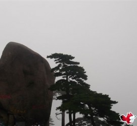 河池上海伴游私家陪游雇用女模(上海伴游私家陪游雇用女模特)