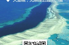 河池中国250家旅行社结伴游新西兰(新西兰当地旅行社)