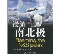 河池游记攻略(ps西游记攻略)