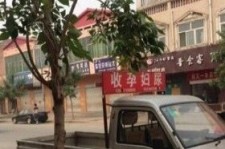 河池上海伴游 用伴游造句大全(5