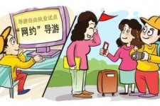 河池伴游是什么