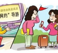 河池伴游是什么