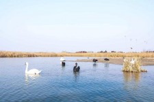 河池南昌附近伴游小妹兼职(1534939978姐的微信德惠市)