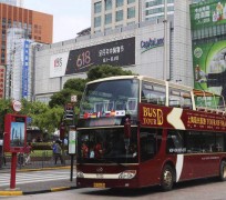 河池上海私人伴游 上海过年怎么玩？这些“微游”线路了解下→