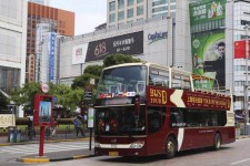 河池上海私人伴游 上海过年怎么玩？这些“微游”线路了解下→
