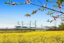河池高铁游(高铁游戏下载手机版)