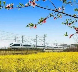 河池高铁游(高铁游戏下载手机版)