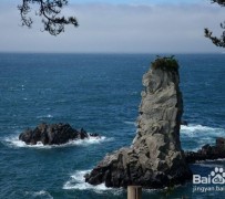 河池旅游全攻略(上海旅游全攻略)