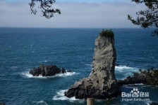 河池旅游全攻略(上海旅游全攻略)