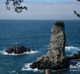 河池旅游全攻略(上海旅游全攻略)