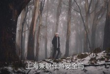 河池上海私人伴游 上海伴游，上海兼职伴游安全吗