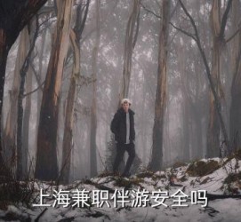 河池上海私人伴游 上海伴游，上海兼职伴游安全吗
