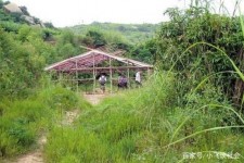 河池北海伴游兼职雇用信息(北海伴游兼职雇用信息大全)