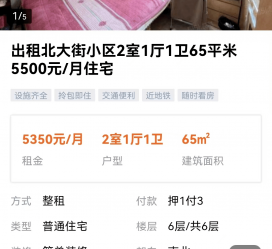 河池私人伴游是什么 “过年租友”陷阱：骗财与色情服务