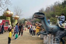 河池中国伴游带你打卡网红南山竹海(南山竹海网上预约)
