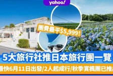 河池旅游价格(旅游价格机制)