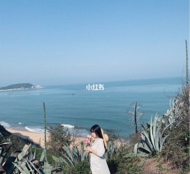 河池厦门周边游(厦门及周边旅游攻略)