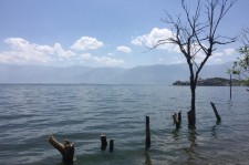 河池洱海旅游攻略(洱海旅游攻略自由行)