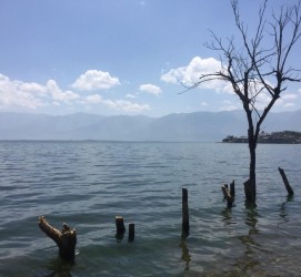 河池洱海旅游攻略(洱海旅游攻略自由行)
