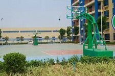 河池上海伴游雇用苗姐(上海哪里有雇用伴游)