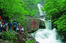 河池安吉旅游攻略(湖州安吉旅游攻略)