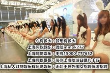 河池雇用旅游男伴游(北京商务酒店雇用伴游)