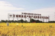 河池关于成都商务伴游外围雇用的信息