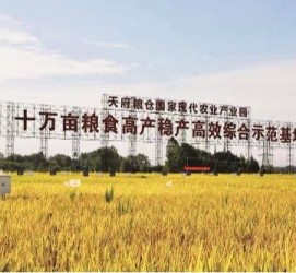 河池关于成都商务伴游外围雇用的信息