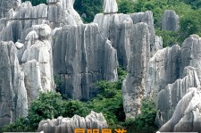 河池贵阳市游览社英语伴游雇用(贵阳市前十名游览社是哪几家)