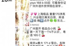 河池外围伴游雇用圈套(雇用伴游什么样子的是实的)