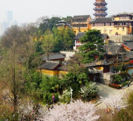 河池南京周边游(南京周边游景点大全 自驾车旅游)