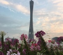 河池广州旅游攻略(杭州到广州旅游攻略)