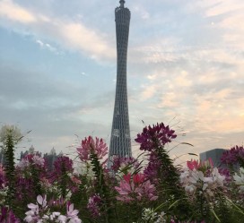 河池广州旅游攻略(杭州到广州旅游攻略)
