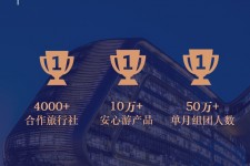 河池上海私人伴游 ​ “小而美”的新时代：2020年国内新跟团消费报告