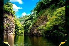 河池旅游报价(旅行团旅游报价)