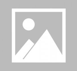 河池上海雇用伴游实在履历(网上那些伴游雇用是实的吗?)