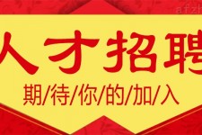 河池上海伴游招聘 招聘 | 浦东机场专柜销售