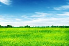 河池上海伴游 上海模特伴游微信号的交友宣言