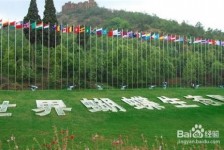 河池昆明旅游攻略(昆明旅游攻略景点大全抚仙湖)