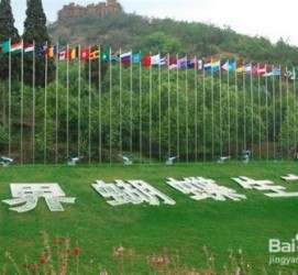 河池昆明旅游攻略(昆明旅游攻略景点大全抚仙湖)