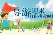 河池私人伴游 “网约导游”到底是正流行 还是不热闹